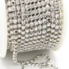 Стразовий ланцюг ss10 (2,8 мм) 1 м Argentum silver