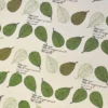 Ткань 55% лен 45% хлопок 160 г/м² 1,5 м 1 м принт Green leaf of Bodhi